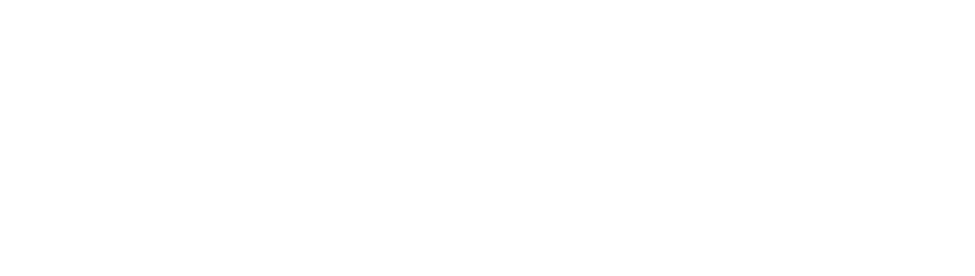 Logo NOSSA